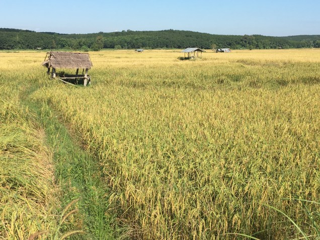 279EB0CF-F0F8-4AFE-B063-199D4D53D3DA