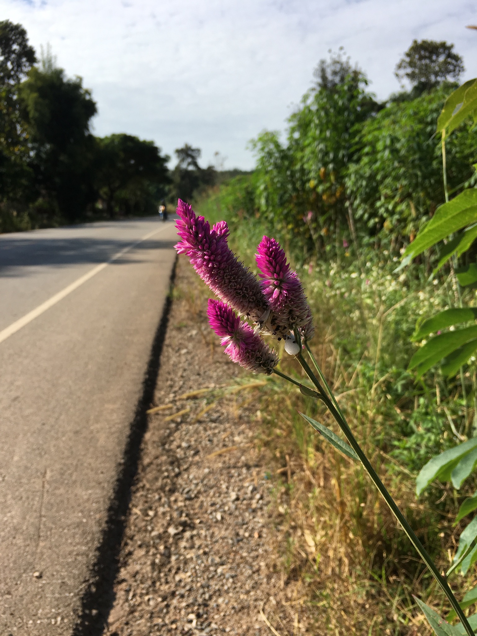 2E448BFD-CD71-46CB-9710-840B13A7D884