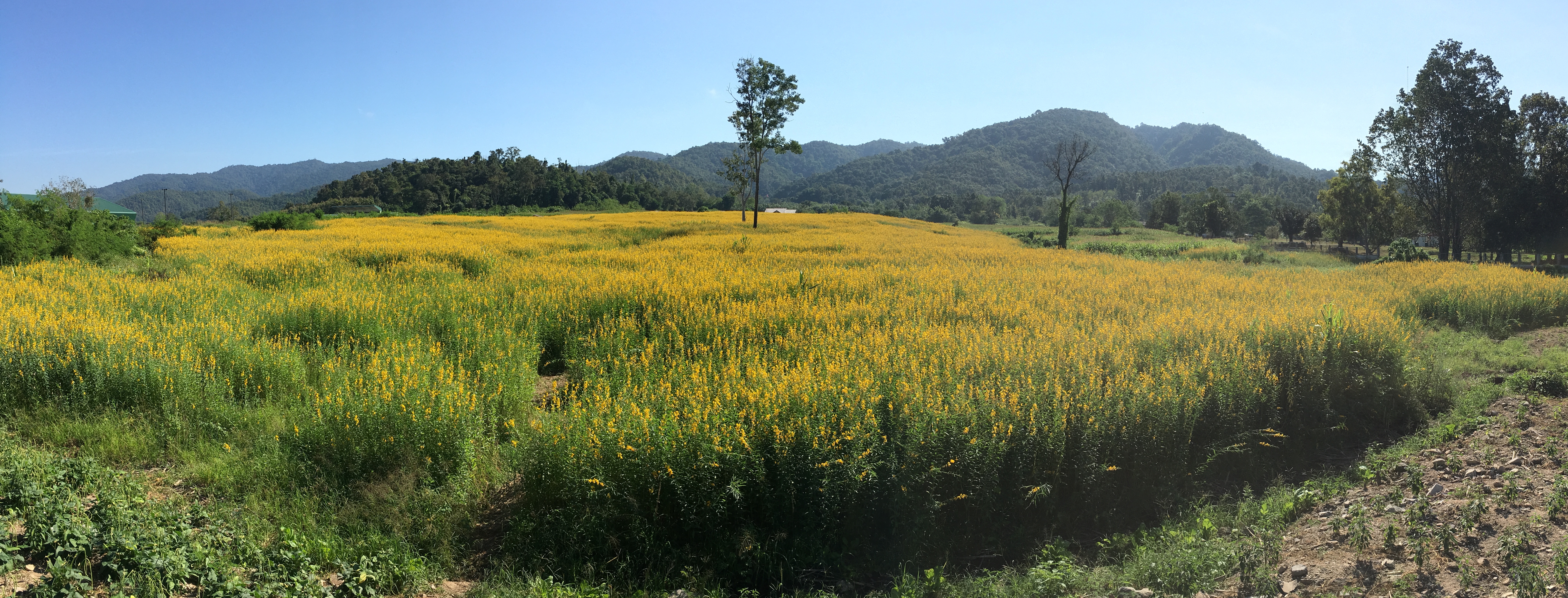 41E2E7FD-7A09-4C65-B4CE-DD8B4CBF43BE