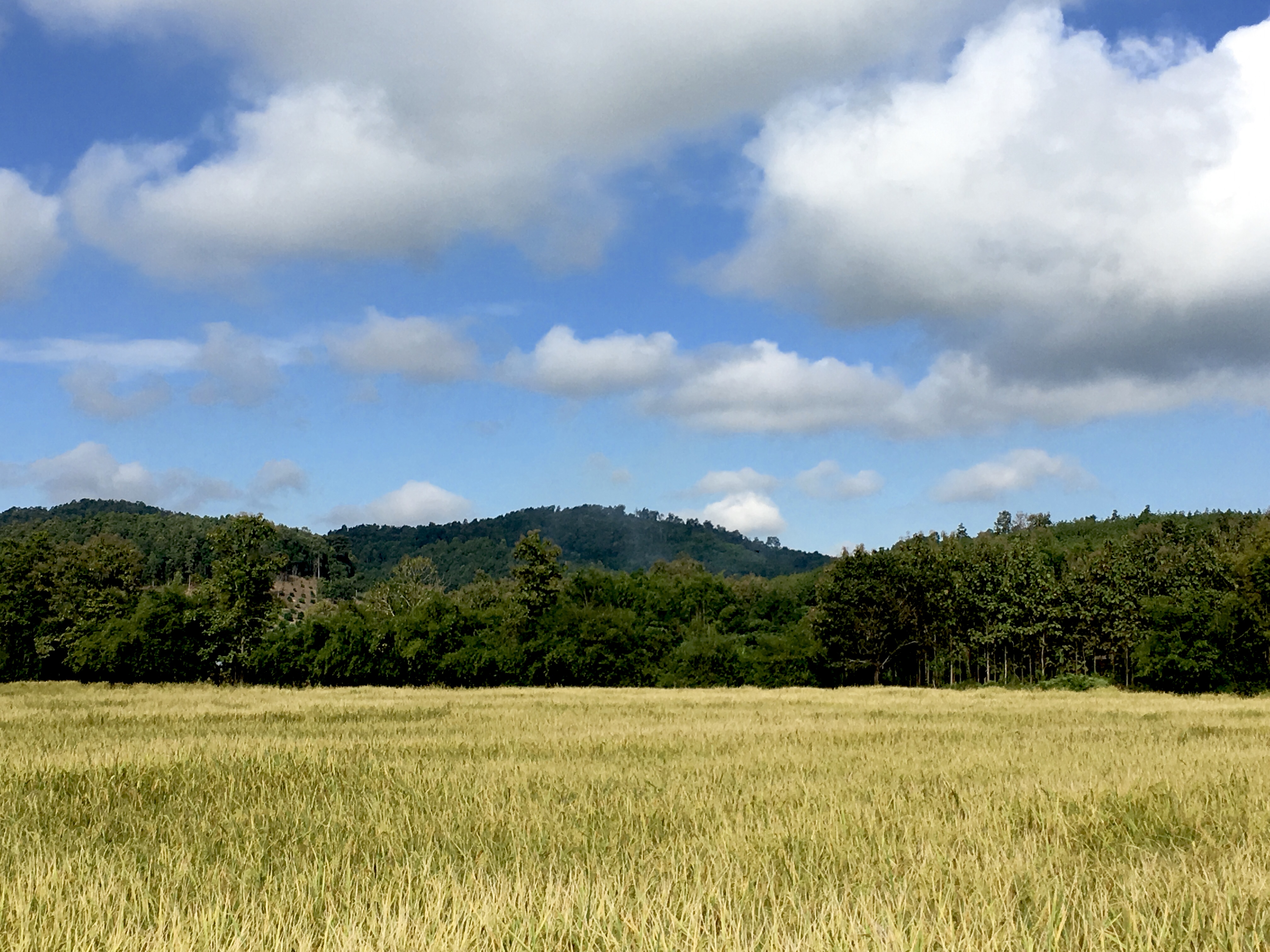 8AFEF494-EE10-4309-8C73-5F7FE1C22C19