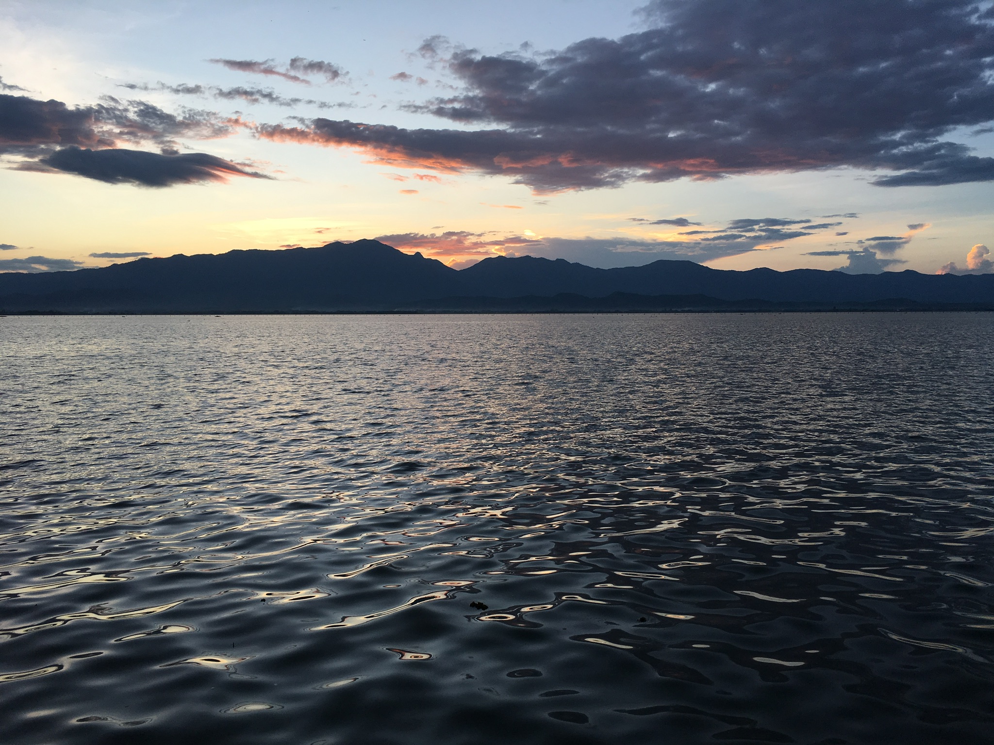 8CD05AB8-114E-4DA7-BC44-B884C3792CE0