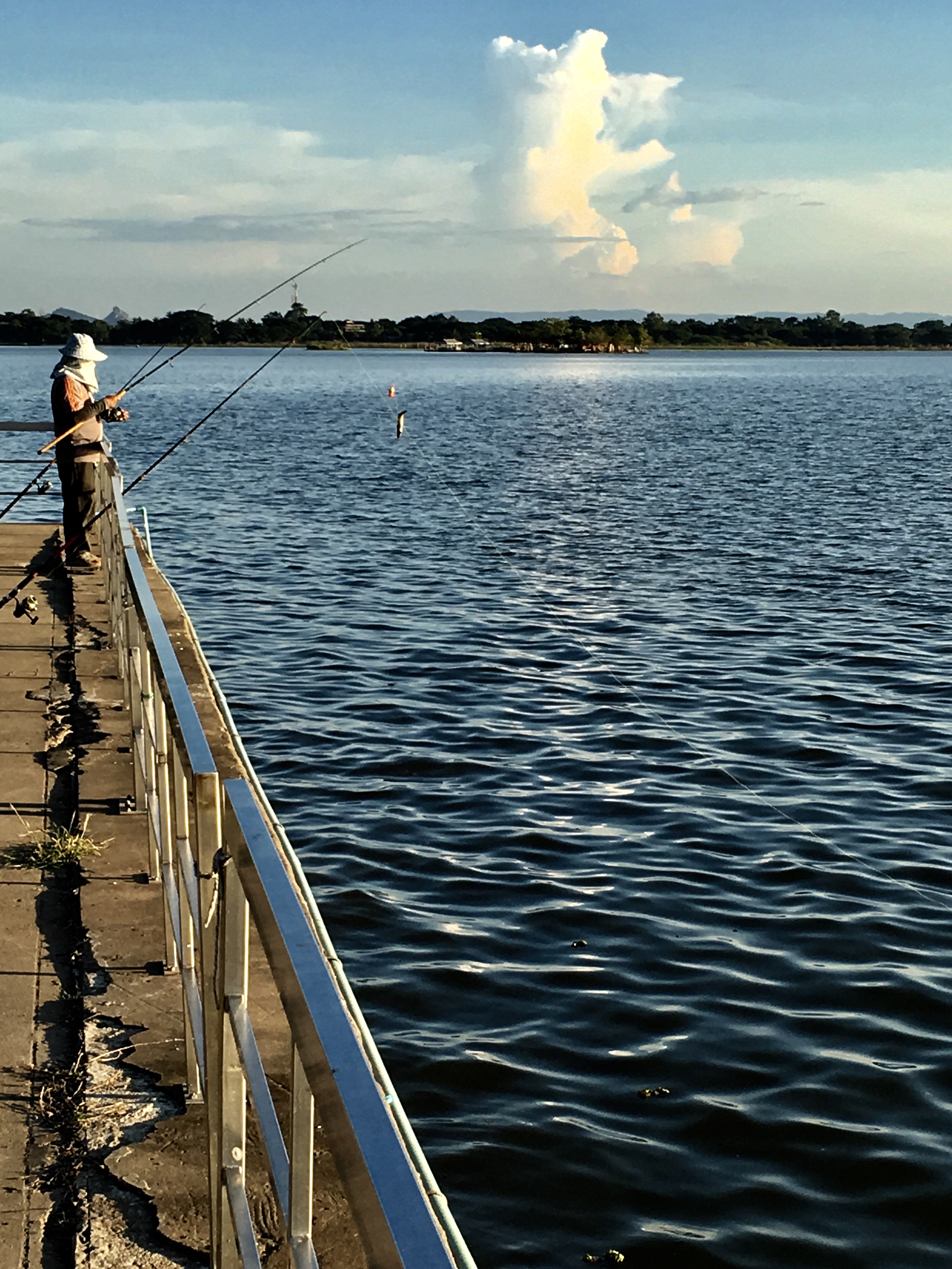 8CD08F9C-D5DE-4A9E-9700-ECAB41C0E237