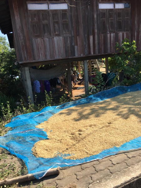 FE5B20FB-AC96-4941-A6B5-B4BB8E13D2E0