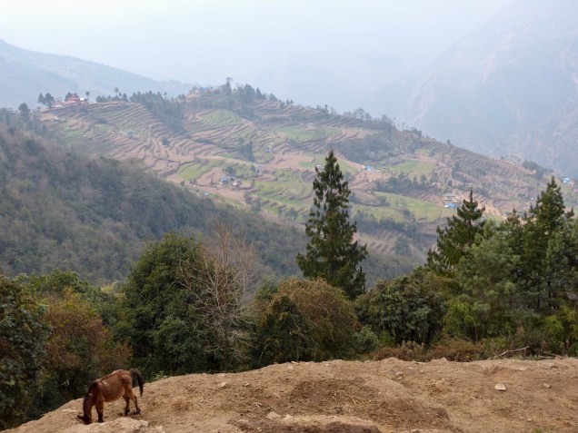 4036DCBD-36E0-4DF7-92CE-7FBB369FCCD6