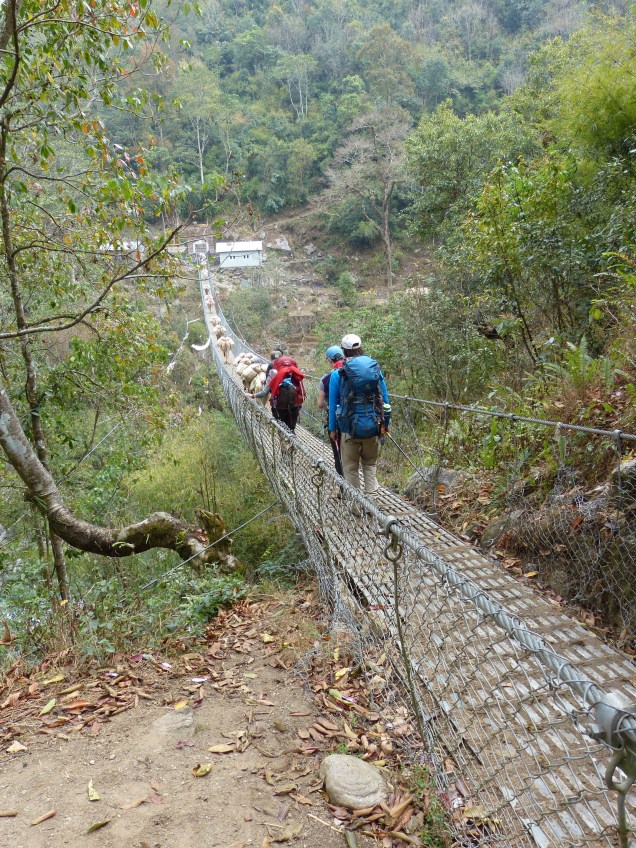 41C84E7E-480F-4021-A651-81183FE68A62