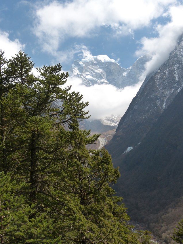 44AF0DF9-CD33-4695-A020-53ED593B1D24