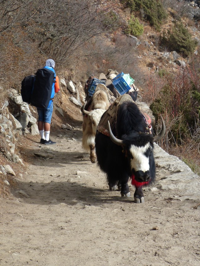 AC2E21AC-7654-4002-B274-AB00ABF995A9