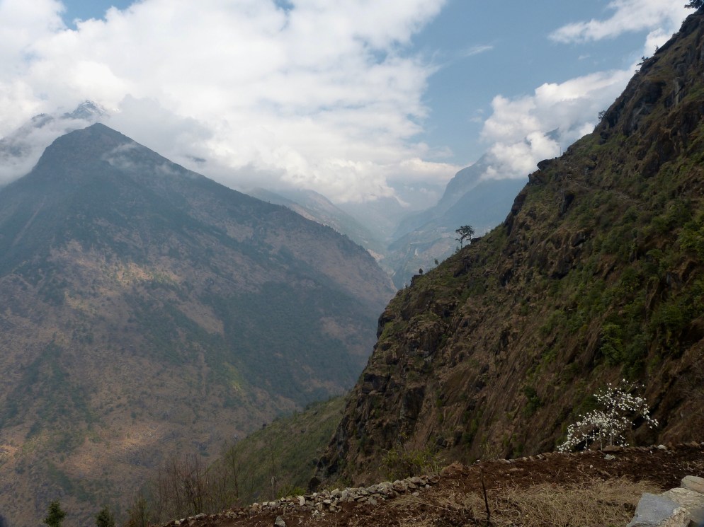 B8806D8A-F281-4A1E-8D40-46C110B80250