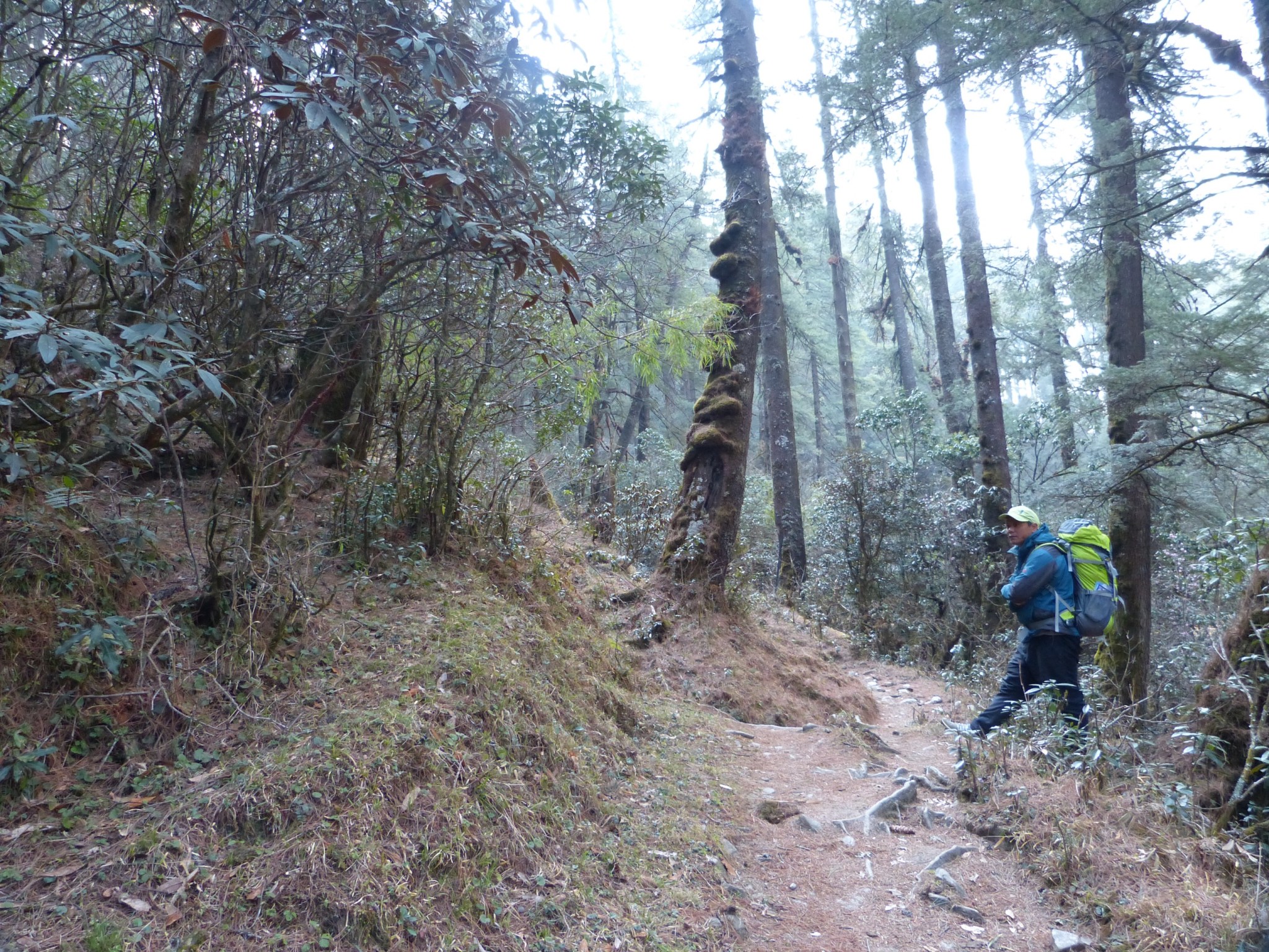 F06414D6-EB2E-4CDF-9FA0-A40F8090136C