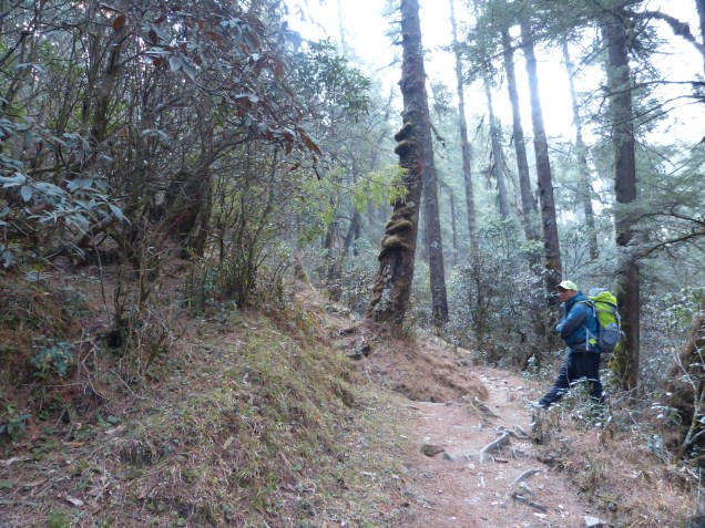 F06414D6-EB2E-4CDF-9FA0-A40F8090136C